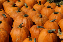 Spring Garden Farms Inc. Birdsboro PA